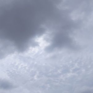 Meet your Posher, Billy